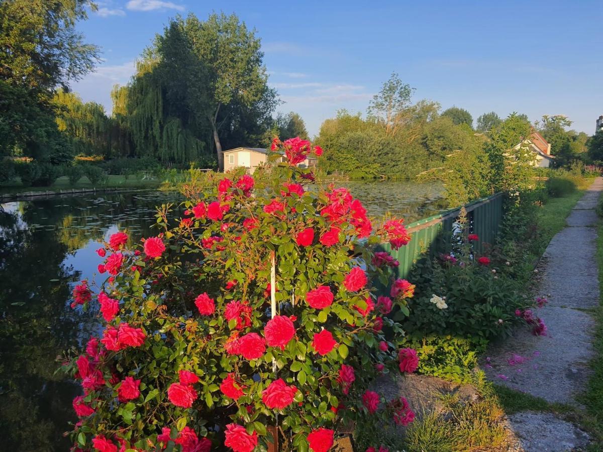 Le Cottage Des Hortillonnages Αμιάν Εξωτερικό φωτογραφία